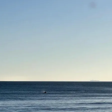 Breezy Beach *